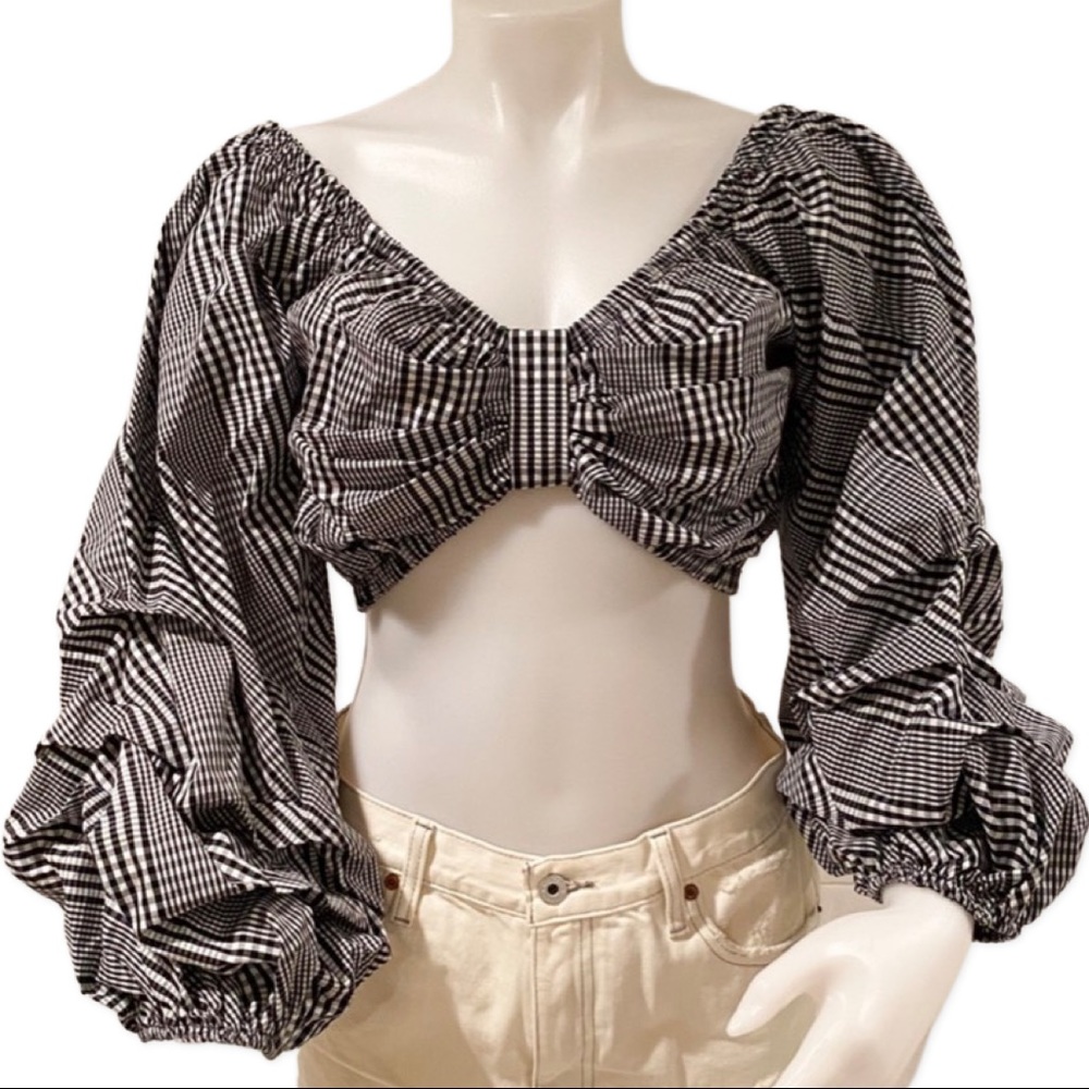 NWT Gingham Crop Top